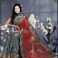 Индийское сари – шаблон костюма