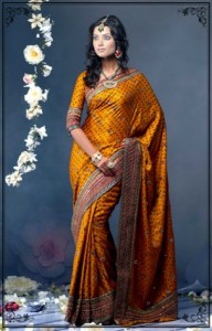 India_Gir in Saris (2)