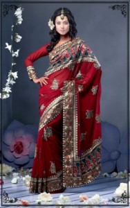 India_Gir in Saris (3)