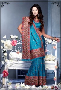 India_Gir in Saris2 (3)