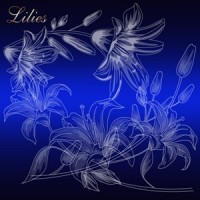 Лилии – шаблон для фотошоп