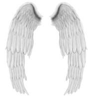 Крылья ангела растровый клипарт для фотошоп