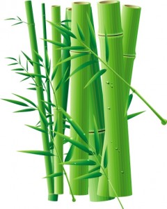 artmania_bamboos1