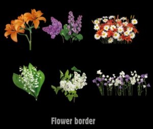 01_flower border