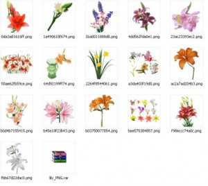 цветы растровый клипарт, цветы на прозрачном фоне