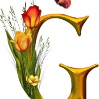Шрифт с тюльпанами