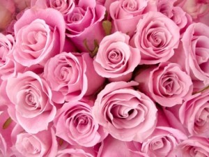 розы, лепестки роз, лепестки алых роз, красные и белые лепестки роз, букеты алых роз, белые розы, красивые свадебные фоны, сердечки, растровый клипарт, фоны для открыток, поздравления, свадьба