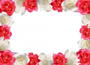 розы, лепестки роз, лепестки алых роз, красные и белые лепестки роз, букеты алых роз, белые розы, красивые свадебные фоны, сердечки, растровый клипарт, фоны для открыток, поздравления, свадьба