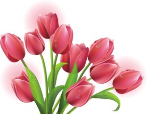 tulips-vector