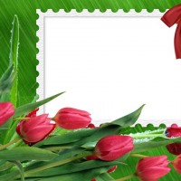 Весенние рамочки с тюльпанами